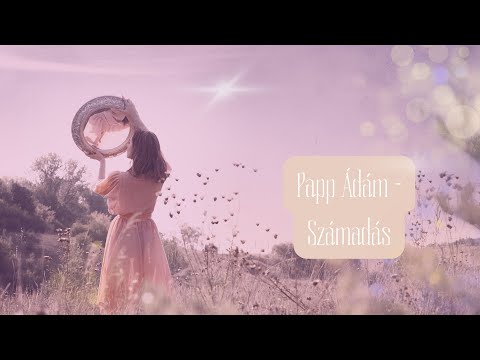 Papp Ádám - Számadás