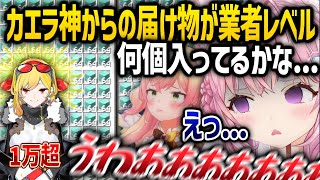 さすが神... カエラ神のお届け物を見て叫びまくるこより - ホロライブ切り抜き -