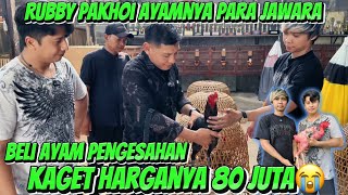Download lagu Beli Ayam Pengesahan Rubby Pakhoi kaget banget harganya 80 juta😭 mp3