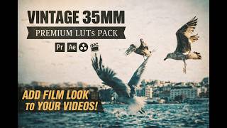 Vintage 35mm Flash LUTs Pack 📸🎞️ | Retro Film Flash Color Grading for Cinematic Videos