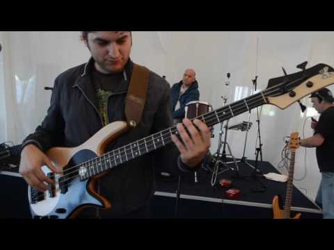 Fodera yin yang standard