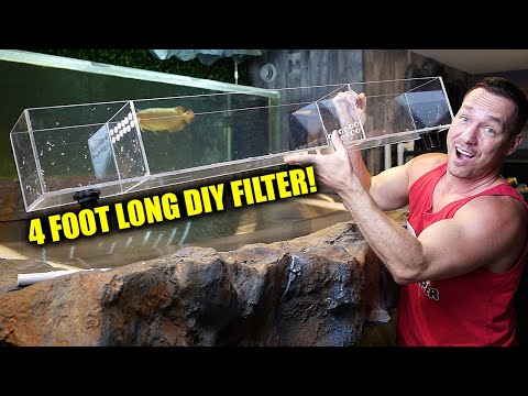 HOW TO build the ultimate DIY aquarium filter