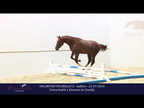 Unlimited Picobello Z