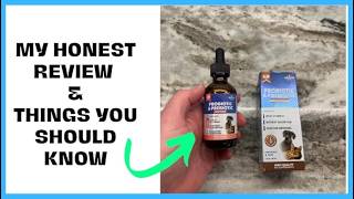 Watch This Before Buying Probiotics for Dogs & Cats