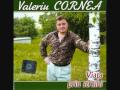 Valeriu Cornea - fratii mei 
