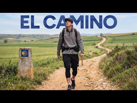 THE ROAD — Official Trailer