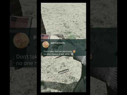 no one makes it out alive.. #palvi X kpop👻💀