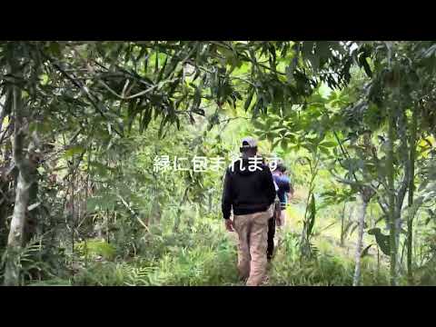 園芸 アグロフォレストリー