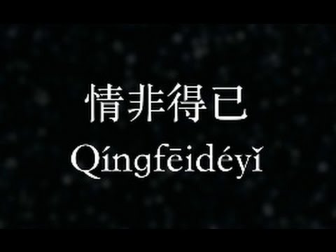 庾澄慶：情非得已 (KTV with Pinyin)