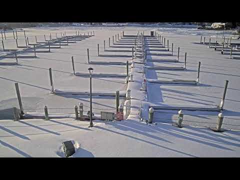 Live Camera Axis Q3708-PVE
