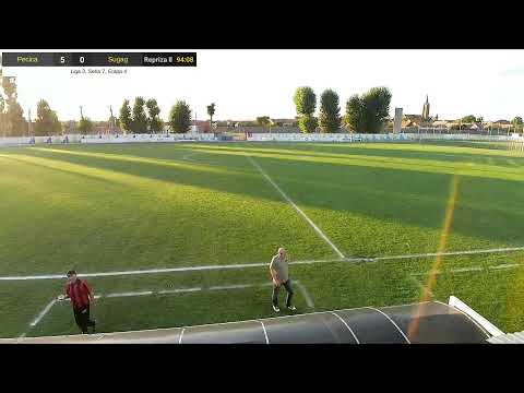 Progresul Pecica  -  Hidro Mecanica Sugag 1984