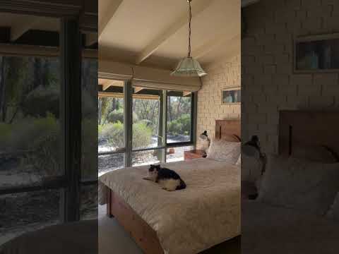 262 Blakeley Road, Barkers Creek, VIC 3451, 4房, 3浴, House