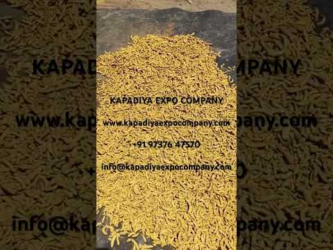 Garam masala fenugreek leaves powder, packaging size: 10 kg