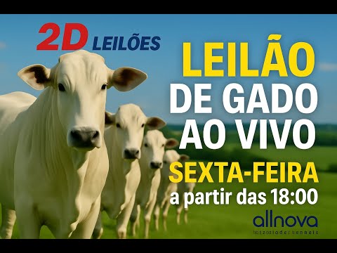 26º LEILÃO 2D LEILÕES AREALVA-SP