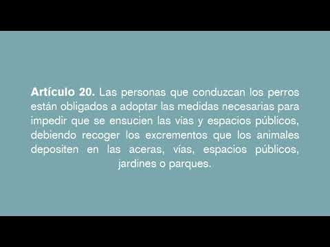 Campaña de concienciación para los dueños de perros I