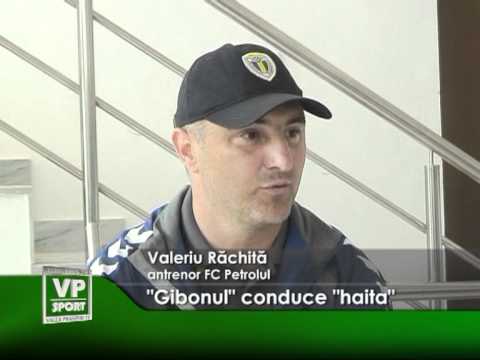 “Gibonul” conduce “haita”