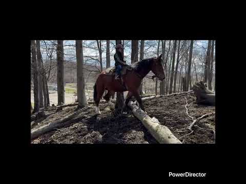 youtube preview