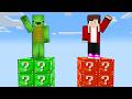NOOB Vs PRO Lucky Block Towers In Minecraft