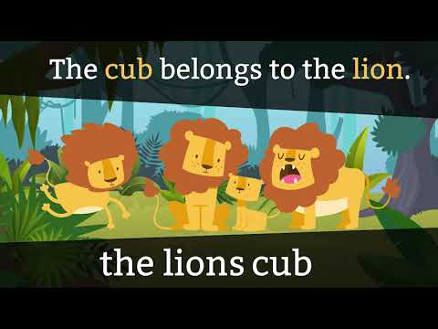 Possessive Singular Nouns