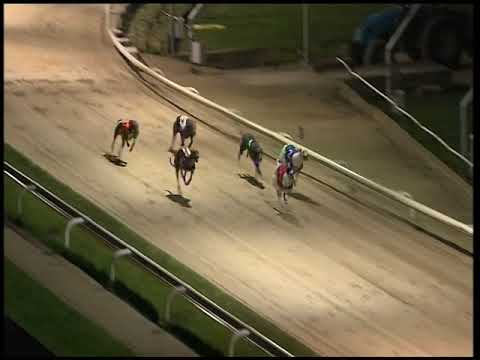 2017 CORAL OLYMPIC - HEAT 3 - OAKFIELD CAESAR