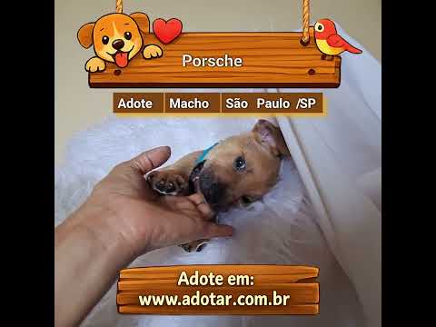 Vídeo de Porsche