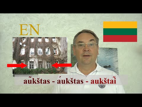 LITHUANIAN LESSON 219 - AUKŠTAS - AUKŠTAS - AUKŠTAI