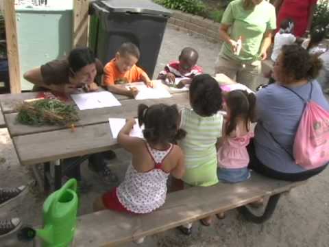 Organic School Project