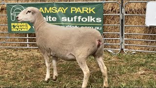 Download lagu Lot 113 mp3