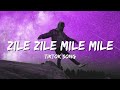 Zile Zile Mile Mile Tiktok Remix Song