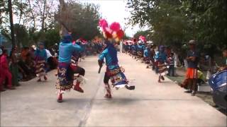 preview picture of video 'Son: La Ardilla Danza La Milagrosa del Pilar, Coah.'