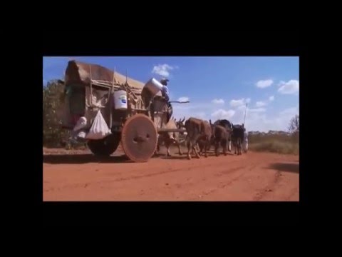 Poeira vermelha - o hino do sertão