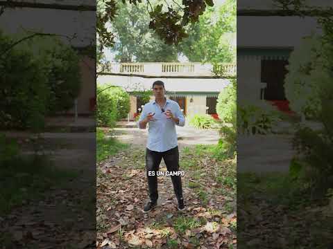 Campo 701 hectáreas en venta en Mercedes, Provincia de Bs As