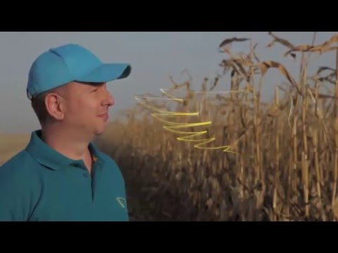 Seamănă-ți succesul cu DEKALB !