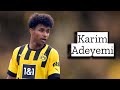 Karim Adeyemi | Skills and Goals | Highlights