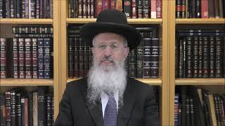 הרב אברהם יוסף שליט"א דין המלך הקדוש והמלך המשפט