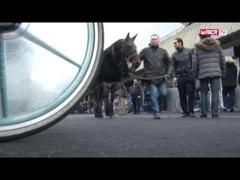 Critérium continental 2014, Tumble Dust gagne son ticket pour le Prix d’Amérique Opodo