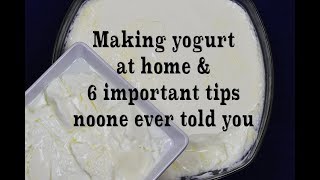 Homemade Yogurt Natural & Plain, 6  Tips You