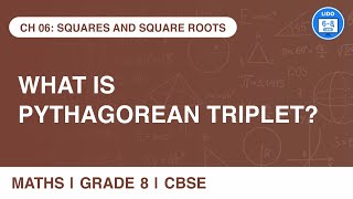 Pythagorean Triplet | Squares and Square roots | Class 8 Math's Chapter 6