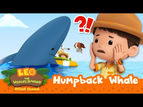 Witness21  2023 05 06