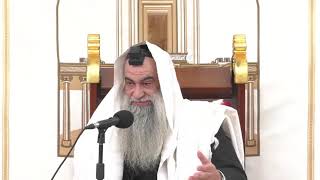 הרב שי פרי שליט"א - שיעור אור החיים - פרשת שמיני
