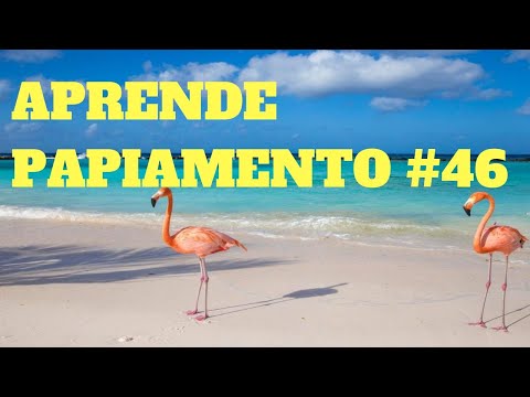 PAPIAMENTO 46