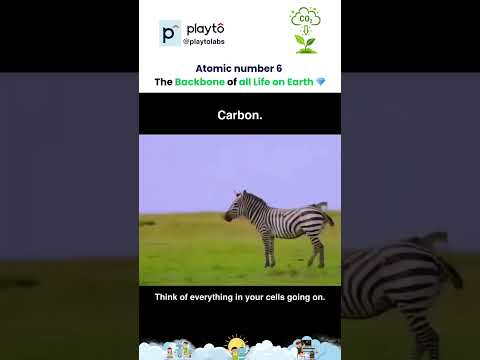 Carbon: Backbone of All Life on Earth 💎 #shorts