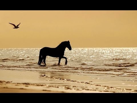 download lagu mp3 mp4 Mon Amour Ringtone, download lagu Mon Amour Ringtone gratis, unduh video klip Download Mon Amour Ringtone Mp3 dan Mp4 Viral Gratis