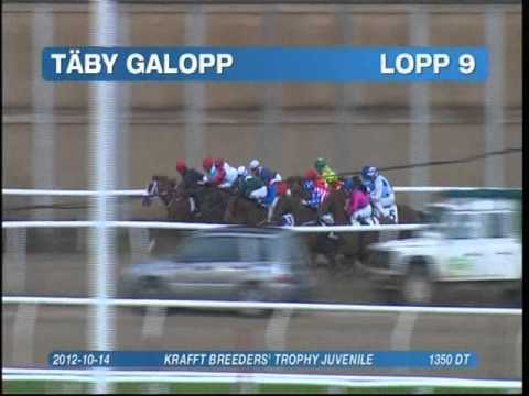 Quite A Mission Breeders Trophy Juvenile 2012