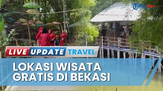 Kesempatan Menikmati Suasana Alam di Bekasi, Hutan Bambu Bisa Jadi Tempat Bersantai Lepas Penat
