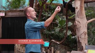 Our Wildlife Heroes: Donnie Alverson