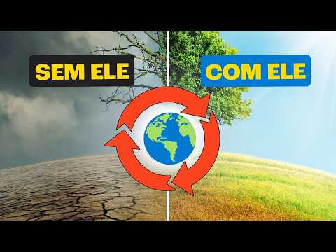 Biogeochemical cycles are FUNDAMENTAL for life on Earth