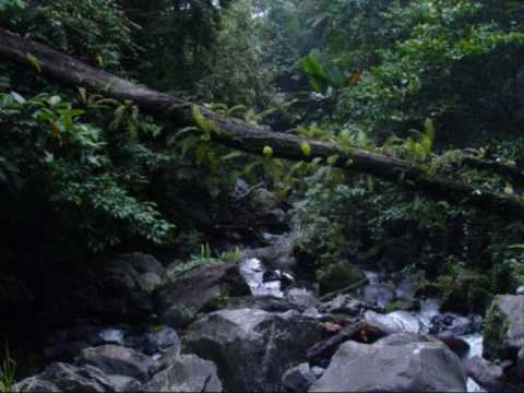 One In The Jungle - DJ Hype and MC Fats - 24.10.1997 - Part 2