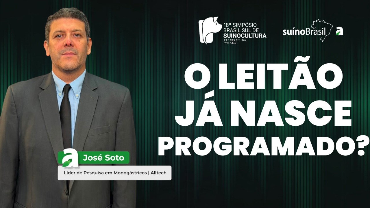 O desempenho do leitão começa antes do nascimento?