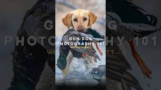 Edits Carter Klatt Reel 20260825 134141